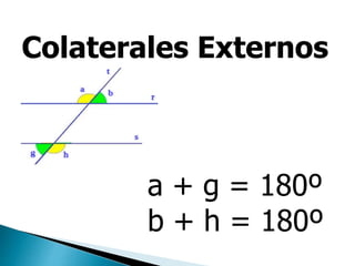 Colaterales Externos
a + g = 180º
b + h = 180º