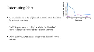 amh.pdf