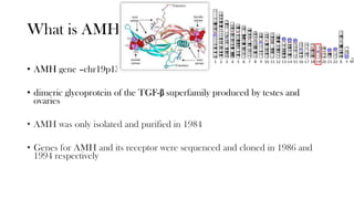 amh.pdf
