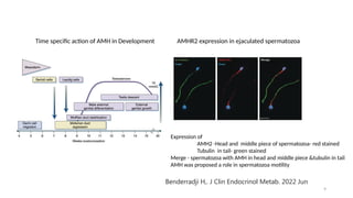 Amh Development amh and inhibin ppt- role in health care 1.pptx