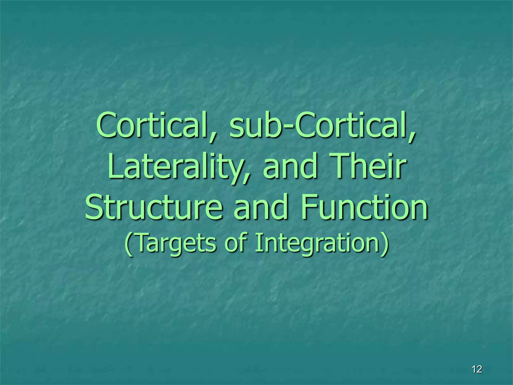 12
Cortical, sub-Cortical,
Laterality, and Their
Structure and Function
(Targets of Integration)
 