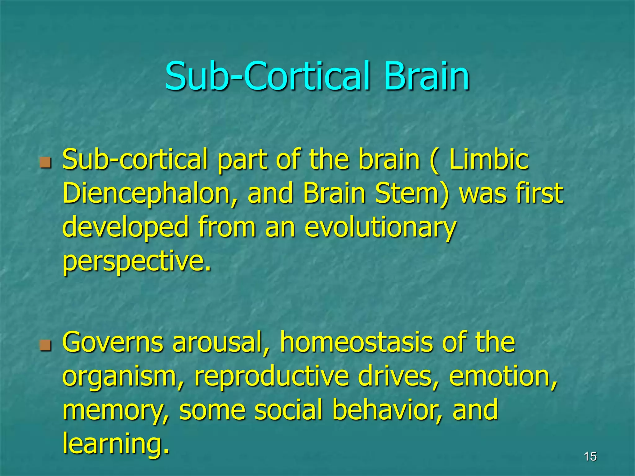 15
Sub-Cortical Brain
 Sub-cortical part of the brain ( Limbic
Diencephalon, and Brain Stem) was first
developed from an evolutionary
perspective.
 Governs arousal, homeostasis of the
organism, reproductive drives, emotion,
memory, some social behavior, and
learning.
 