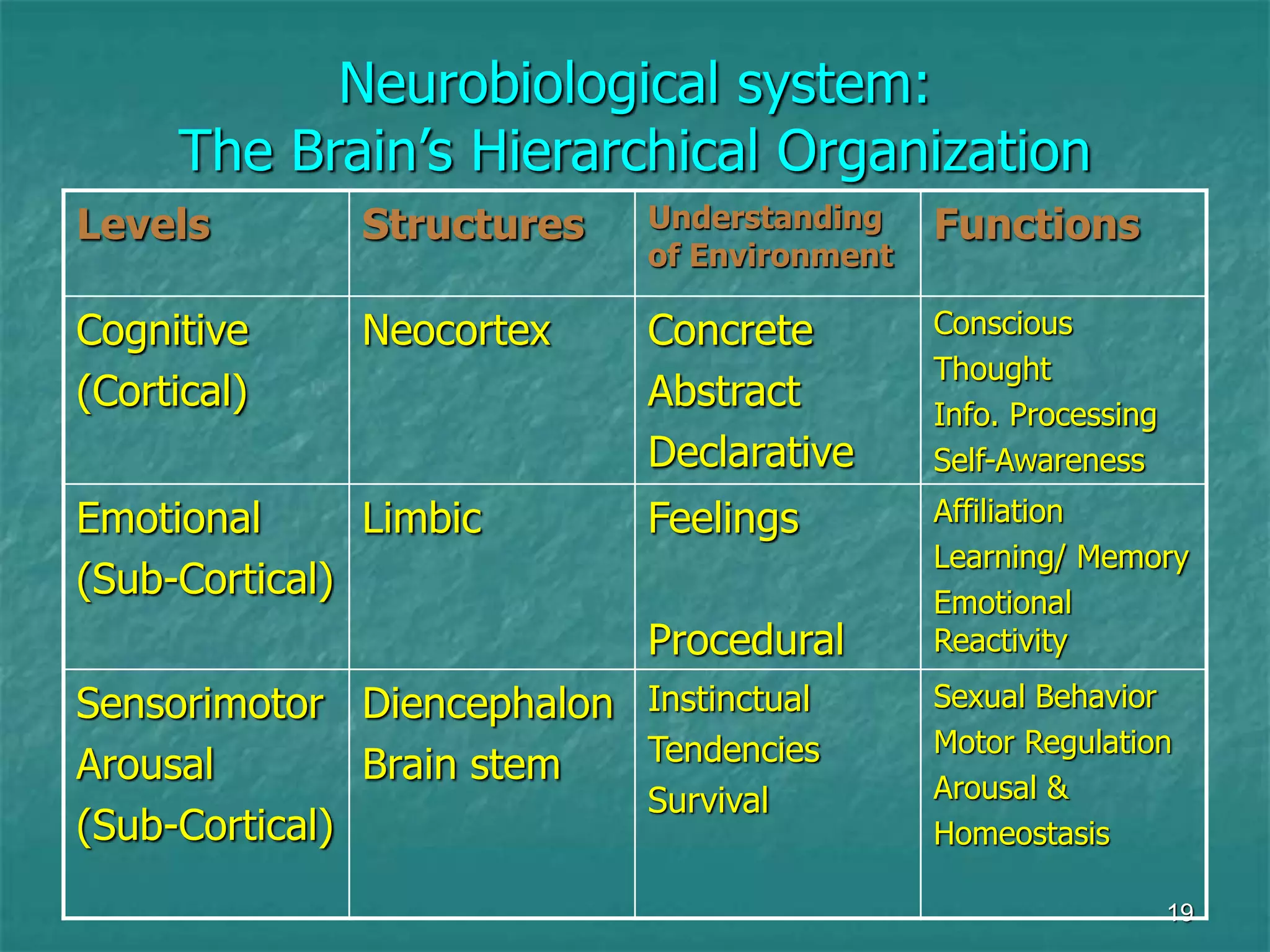 19
Neurobiological system:
The Brain’s Hierarchical Organization
Levels Structures Understanding
of Environment
Functions
Cognitive
(Cortical)
Neocortex Concrete
Abstract
Declarative
Conscious
Thought
Info. Processing
Self-Awareness
Emotional
(Sub-Cortical)
Limbic Feelings
Procedural
Affiliation
Learning/ Memory
Emotional
Reactivity
Sensorimotor
Arousal
(Sub-Cortical)
Diencephalon
Brain stem
Instinctual
Tendencies
Survival
Sexual Behavior
Motor Regulation
Arousal &
Homeostasis
 