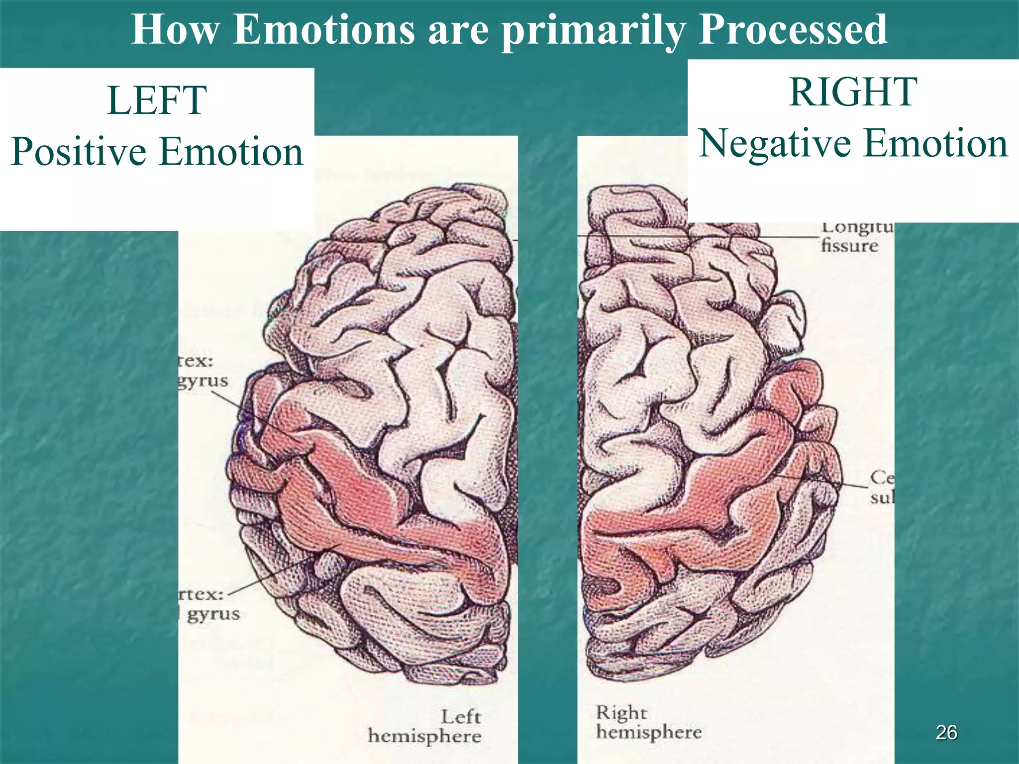 26
How Emotions are primarily Processed
LEFT
Positive Emotion
RIGHT
Negative Emotion
 
