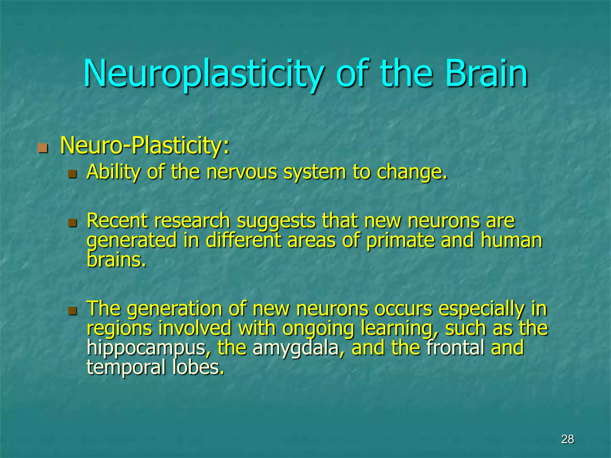 28
Neuroplasticity of the Brain
 Neuro-Plasticity:
 Ability of the nervous system to change.
 Recent research suggests that new neurons are
generated in different areas of primate and human
brains.
 The generation of new neurons occurs especially in
regions involved with ongoing learning, such as the
hippocampus, the amygdala, and the frontal and
temporal lobes.
 