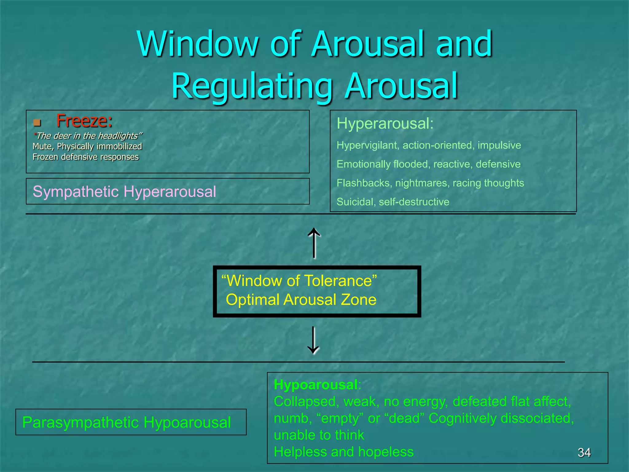 34
Window of Arousal and
Regulating Arousal
 Freeze:
“The deer in the headlights”
Mute, Physically immobilized
Frozen defensive responses
↑
↓
Sympathetic Hyperarousal
_______________________________________________________________
_____________________________________________________________
“Window of Tolerance”
Optimal Arousal Zone
Parasympathetic Hypoarousal
Hypoarousal:
Collapsed, weak, no energy, defeated flat affect,
numb, “empty” or “dead” Cognitively dissociated,
unable to think
Helpless and hopeless
Hyperarousal:
Hypervigilant, action-oriented, impulsive
Emotionally flooded, reactive, defensive
Flashbacks, nightmares, racing thoughts
Suicidal, self-destructive
 