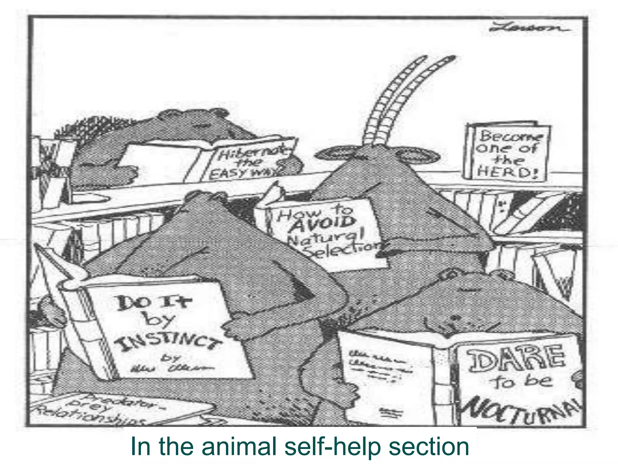 38
In the animal self-help section
 