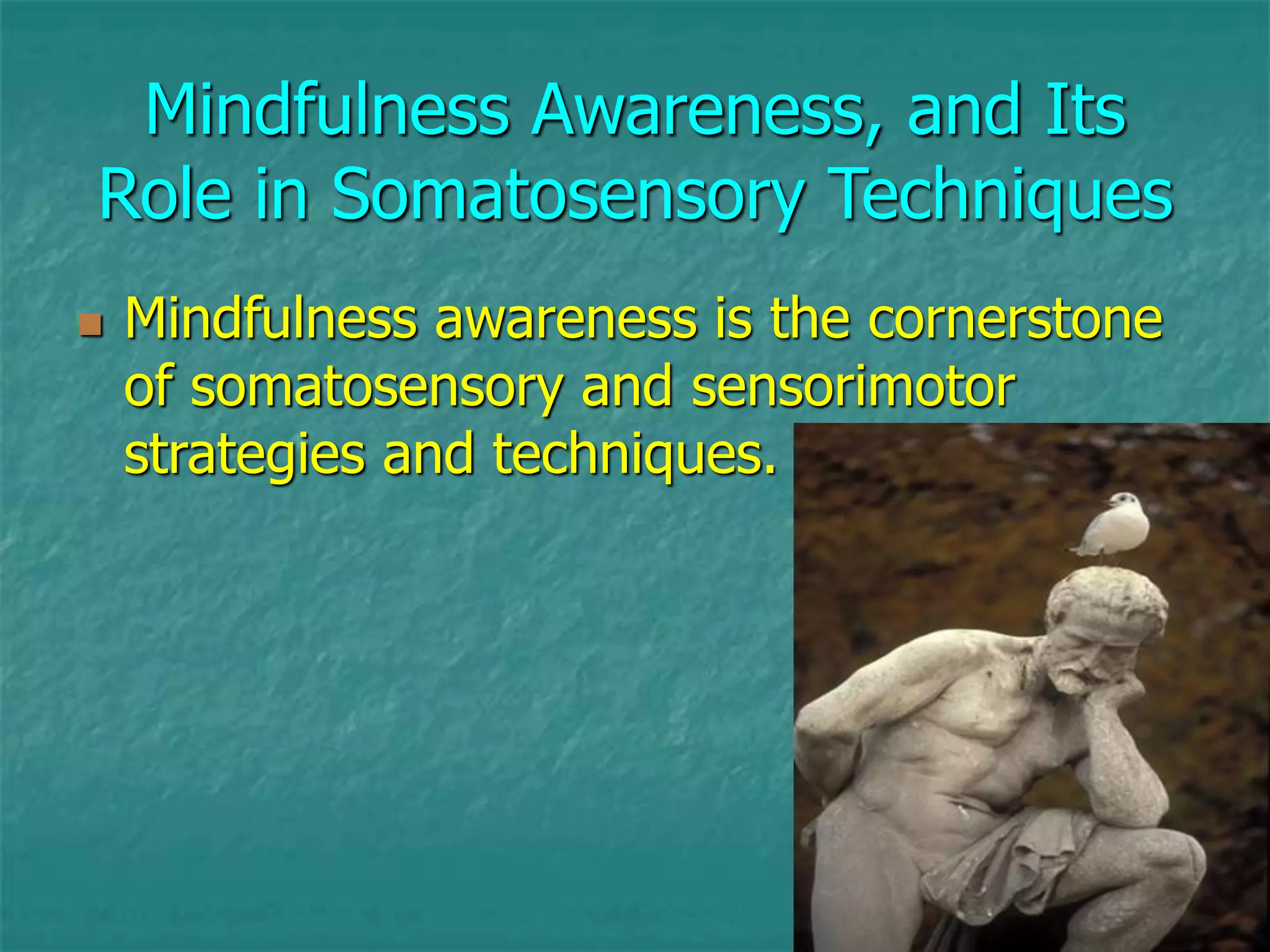 58
Mindfulness Awareness, and Its
Role in Somatosensory Techniques
 Mindfulness awareness is the cornerstone
of somatosensory and sensorimotor
strategies and techniques.
 