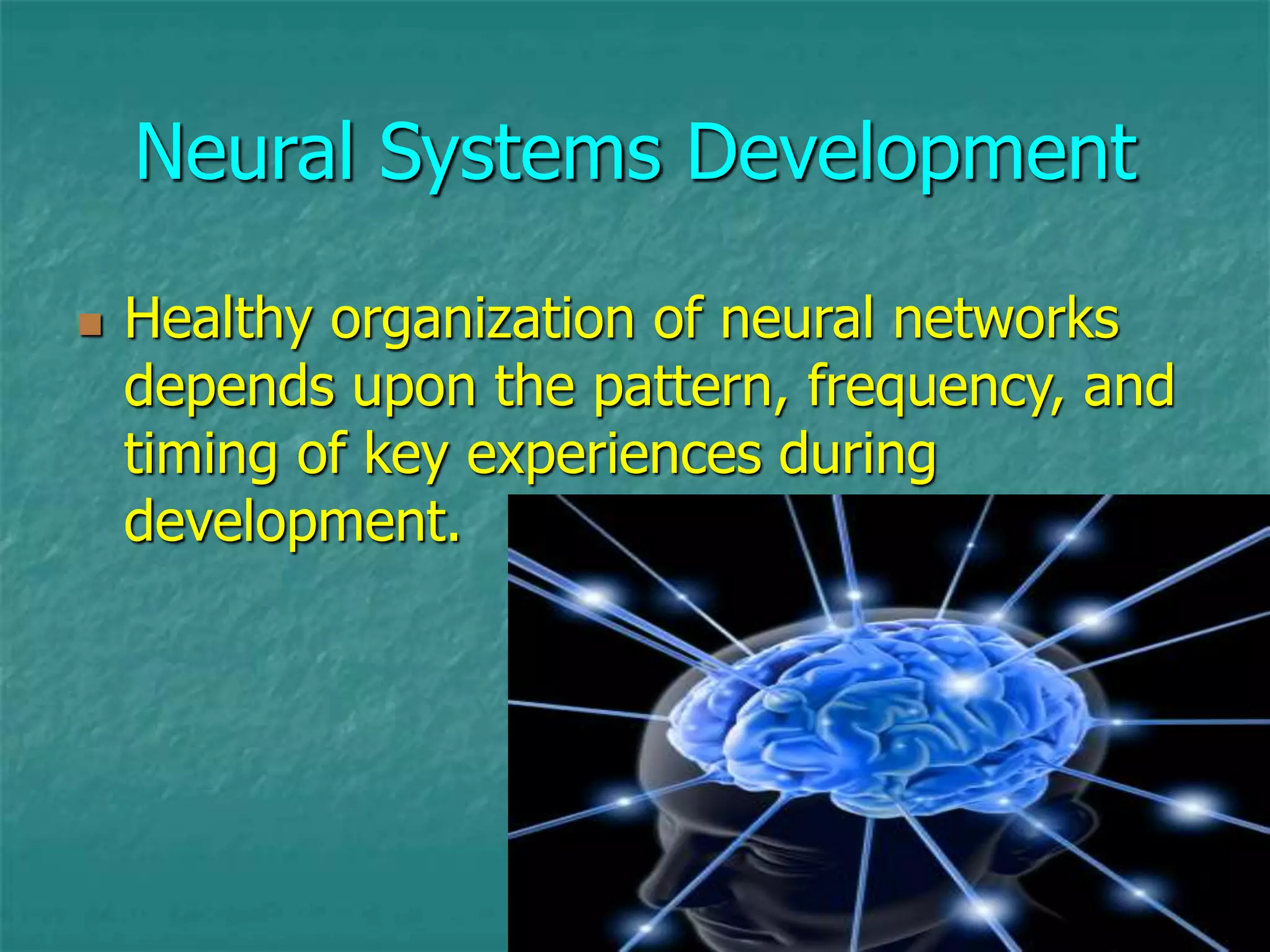 8
Neural Systems Development
 Healthy organization of neural networks
depends upon the pattern, frequency, and
timing of key experiences during
development.
 