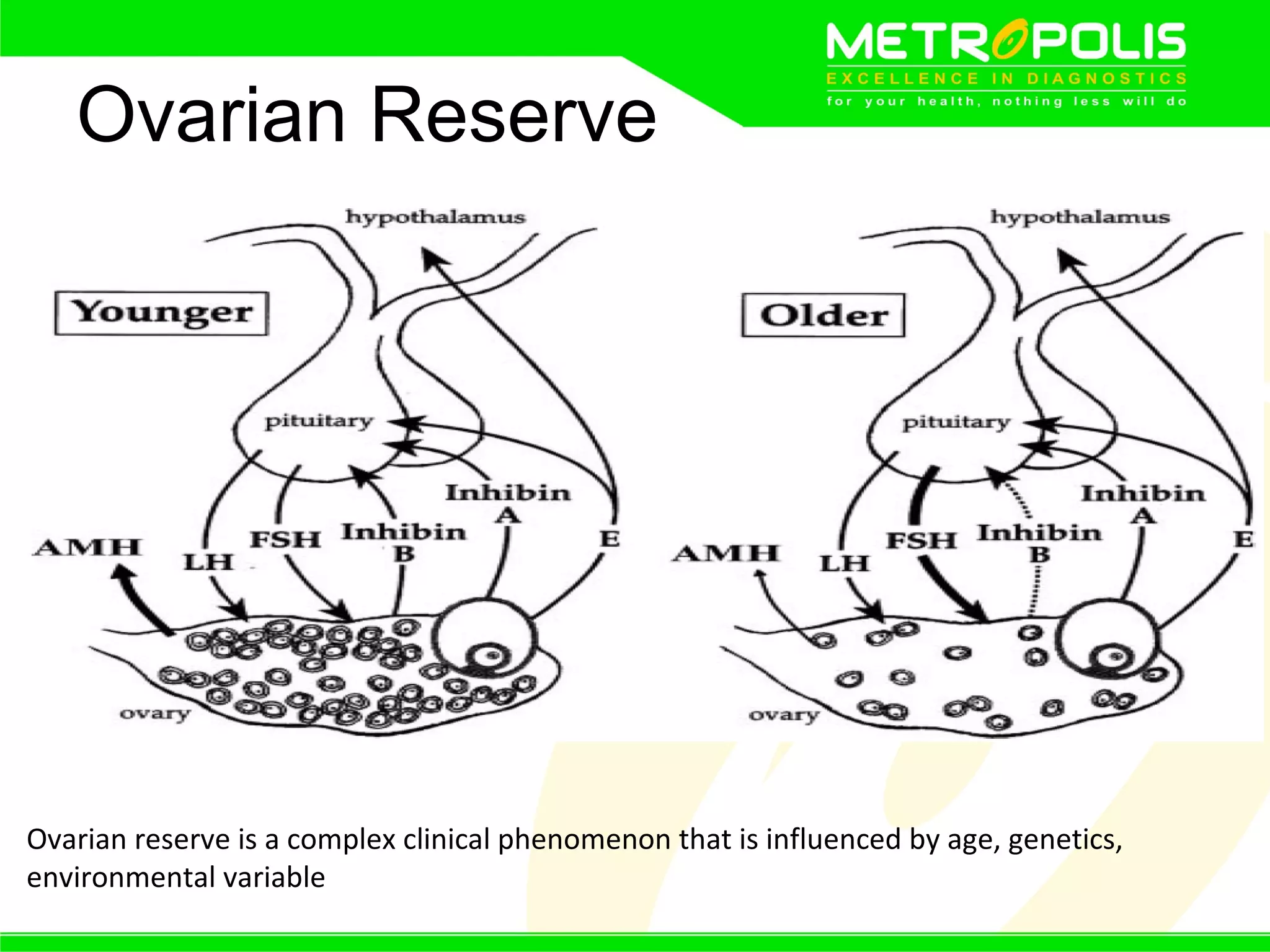 Anti mullerian hormone PPT