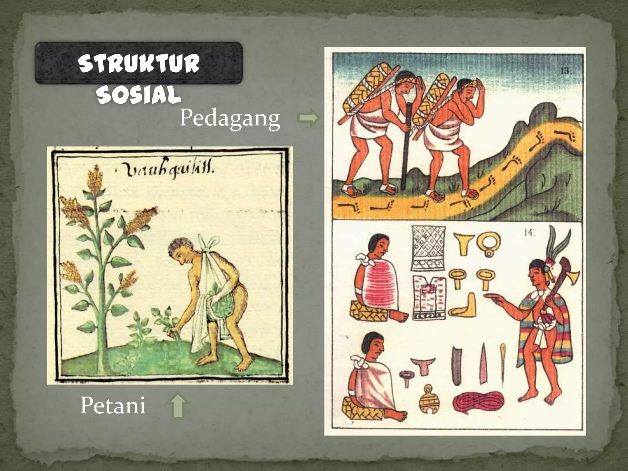 Aztec, Maya, Inca Native | PPTX