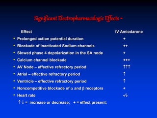 Significant Electropharmacologic Effects -
Effect IV Amiodarone
• Prolonged action potential duration +
• Blockade of inactivated Sodium channels ++
• Slowed phase 4 depolarization in the SA node +
• Calcium channel blockade +++
• AV Node – effective refractory period 
• Atrial – effective refractory period 
• Ventricle – effective refractory period 
• Noncompetitive blockade of  and  receptors +
• Heart rate -/
  = increase or decrease; + = effect present;
 