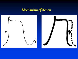Mechanism of Action
 