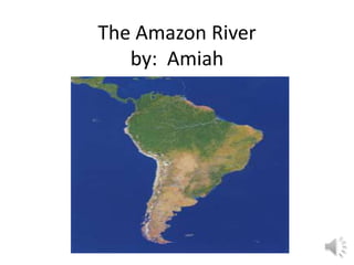 The Amazon River
   by: Amiah
 