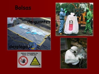 Bolsas desplegada de guantes 