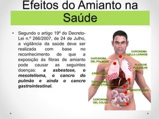 Efeitos do Amianto na
Saúde
• Segundo o artigo 19º do Decreto-
Lei n.º 266/2007, de 24 de Julho,
a vigilância da saúde deve ser
realizada com base no
reconhecimento de que a
exposição às fibras de amianto
pode causar as seguintes
doenças: a asbestose, o
mesotelioma, o cancro do
pulmão e ainda o cancro
gastrointestinal.
 