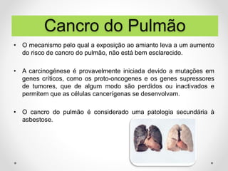 • O mecanismo pelo qual a exposição ao amianto leva a um aumento
do risco de cancro do pulmão, não está bem esclarecido.
• A carcinogénese é provavelmente iniciada devido a mutações em
genes críticos, como os proto-oncogenes e os genes supressores
de tumores, que de algum modo são perdidos ou inactivados e
permitem que as células cancerígenas se desenvolvam.
• O cancro do pulmão é considerado uma patologia secundária à
asbestose.
Cancro do Pulmão
 