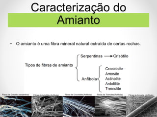 Caracterização do
Amianto
• O amianto é uma fibra mineral natural extraída de certas rochas.
Fibras de Crisótilo (serpentina) Fibras de Antofilite (Anfibola) Fibras de Crocidolite (Anfibola) Fibras de Tremolite (Anfibola) Fibras de Amosite (Anfibola)
 