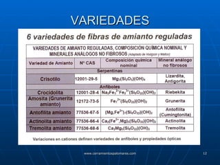 VARIEDADES 
