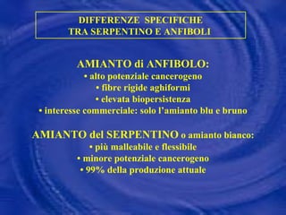 DIFFERENZE  SPECIFICHE TRA SERPENTINO E ANFIBOLI  AMIANTO di ANFIBOLO: •  alto potenziale cancerogeno •  fibre rigide aghiformi •  elevata biopersistenza •  interesse commerciale: solo l’amianto blu e bruno AMIANTO del SERPENTINO  o amianto bianco: •  più malleabile e flessibile •  minore potenziale cancerogeno •  99% della produzione attuale 