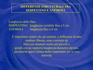 DIFFERENZE STRUTTURALI TRA SERPENTINO E ANFIBOLI  Lunghezza delle fibre SERPENTINO  lunghezza variabile fino a 5 cm  ANFIBOLI  lunghezza fino a 8 cm  È importante notare che gli amianti, a differenza di altre strutture fibrose, sono costituiti da  fibre con diametri molto più piccoli e  quindi con un rapporto lunghezza/diametro elevato,  peculiarità quest’ultima molto importante per la loro nocività. 