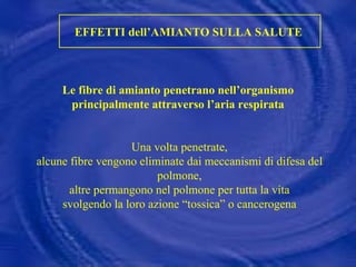 EFFETTI dell’AMIANTO SULLA SALUTE  Le fibre di amianto penetrano nell’organismo  principalmente attraverso l’aria respirata   Una volta penetrate, alcune fibre vengono eliminate dai meccanismi di difesa del polmone, altre permangono nel polmone per tutta la vita svolgendo la loro azione “tossica” o cancerogena         