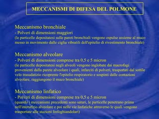 MECCANISMI DI DIFESA DEL POLMONE  Meccanismo bronchiale  - Polveri di dimensioni maggiori (le particelle depositatesi sulle pareti bronchiali vengono espulse assieme al muco messo in movimento dalle ciglia vibratili dell'epitelio di rivestimento bronchiale) Meccanismo alveolare  - Polveri di dimensioni comprese tra 0,5 e 5 micron (le particelle depositatesi negli alveoli vengono inglobate dai macrofagi provenienti dalla parete alveolare i quali, infarciti di polveri, trasportati dal sottile velo trasudatizio ricoprente l'epitelio respiratorio e sospinti dalle contazioni alveolare, raggiungono il muco bronchiale) Meccanismo linfatico  - Polveri di dimensioni comprese tra 0,5 e 5 micron (quando i meccanismi precedenti sono saturi, le particelle penetrano prima nell'interstizio alveolare e poi nelle vie linfatiche attraverso le quali vengono trasportate alle stazioni linfoghiandolari) 