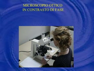 MICROSCOPIO OTTICO IN CONTRASTO DI FASE 