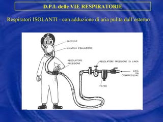 Respiratori ISOLANTI - con adduzione di aria pulita dall’esterno D.P.I. delle VIE RESPIRATORIE 