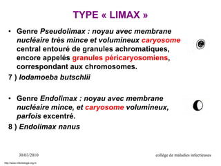 TYPE « LIMAX »
• Genre Pseudolimax : noyau avec membrane
nucléaire très mince et volumineux caryosome
central entouré de granules achromatiques,
encore appelés granules péricaryosomiens,
correspondant aux chromosomes.
7 ) Iodamoeba butschlii
• Genre Endolimax : noyau avec membrane
nucléaire mince, et caryosome volumineux,
parfois excentré.
8 ) Endolimax nanus
30/03/2010 collège de maladies infectieuses
http://www.infectiologie.org.tn
 