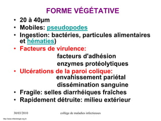 30/03/2010 collège de maladies infectieuses
• 20 à 40µm
• Mobiles: pseudopodes
• Ingestion: bactéries, particules alimentaires
et hématies)
• Facteurs de virulence:
facteurs d'adhésion
enzymes protéolytiques
• Ulcérations de la paroi colique:
envahissement pariétal
dissémination sanguine
• Fragile: selles diarrhéiques fraîches
• Rapidement détruite: milieu extérieur
FORME VÉGÉTATIVE
http://www.infectiologie.org.tn
 