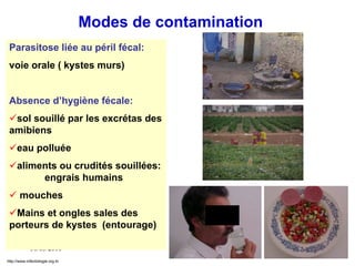 30/03/2010
Modes de contamination
Parasitose liée au péril fécal:
voie orale ( kystes murs)
Absence d’hygiène fécale:
sol souillé par les excrétas des
amibiens
eau polluée
aliments ou crudités souillées:
engrais humains
 mouches
Mains et ongles sales des
porteurs de kystes (entourage)
http://www.infectiologie.org.tn
 