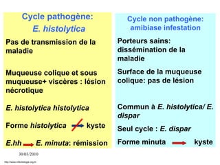 30/03/2010
Cycle non pathogène:
amibiase infestation
Porteurs sains:
dissémination de la
maladie
Surface de la muqueuse
colique: pas de lésion
Commun à E. histolytica/ E.
dispar
Seul cycle : E. dispar
Forme minuta kyste
Cycle pathogène:
E. histolytica
Pas de transmission de la
maladie
Muqueuse colique et sous
muqueuse+ viscères : lésion
nécrotique
E. histolytica histolytica
Forme histolytica kyste
E.hh E. minuta: rémission
http://www.infectiologie.org.tn
 