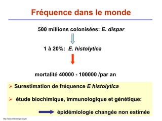 Fréquence dans le monde
500 millions colonisées: E. dispar
1 à 20%: E. histolytica
mortalité 40000 - 100000 /par an
 Surestimation de fréquence E histolytica
 étude biochimique, immunologique et génétique:
épidémiologie changée non estimée
http://www.infectiologie.org.tn
 