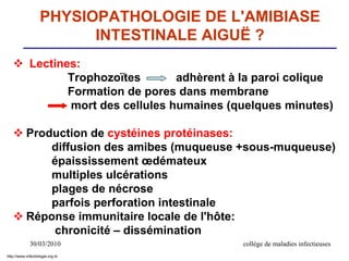 30/03/2010 collège de maladies infectieuses
PHYSIOPATHOLOGIE DE L'AMIBIASE
INTESTINALE AIGUË ?
 Lectines:
Trophozoïtes adhèrent à la paroi colique
Formation de pores dans membrane
mort des cellules humaines (quelques minutes)
 Production de cystéines protéinases:
diffusion des amibes (muqueuse +sous-muqueuse)
épaississement œdémateux
multiples ulcérations
plages de nécrose
parfois perforation intestinale
 Réponse immunitaire locale de l'hôte:
chronicité – dissémination
http://www.infectiologie.org.tn
 
