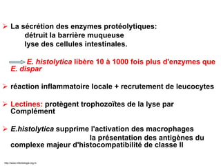  La sécrétion des enzymes protéolytiques:
détruit la barrière muqueuse
lyse des cellules intestinales.
E. histolytica libère 10 à 1000 fois plus d'enzymes que
E. dispar
 réaction inflammatoire locale + recrutement de leucocytes
 Lectines: protègent trophozoïtes de la lyse par
Complément
 E.histolytica supprime l'activation des macrophages
la présentation des antigènes du
complexe majeur d'histocompatibilité de classe II
http://www.infectiologie.org.tn
 