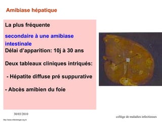 30/03/2010
collège de maladies infectieuses
La plus fréquente
secondaire à une amibiase
intestinale
Délai d’apparition: 10j à 30 ans
Deux tableaux cliniques intriqués:
- Hépatite diffuse pré suppurative
- Abcès amibien du foie
Amibiase hépatique
http://www.infectiologie.org.tn
 