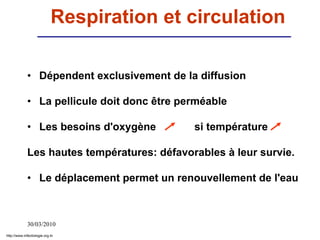 30/03/2010
Respiration et circulation
• Dépendent exclusivement de la diffusion
• La pellicule doit donc être perméable
• Les besoins d'oxygène si température
Les hautes températures: défavorables à leur survie.
• Le déplacement permet un renouvellement de l'eau
http://www.infectiologie.org.tn
 