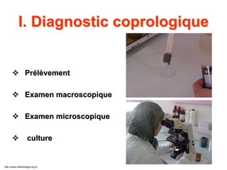  PrPrééllèèvementvement
 Examen macroscopiqueExamen macroscopique
 Examen microscopiqueExamen microscopique
 cultureculture
I. Diagnostic coprologiqueI. Diagnostic coprologique
http://www.infectiologie.org.tn
 