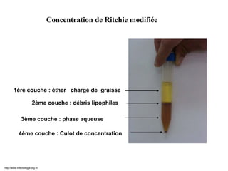 1ère couche : éther chargé de graisse
2ème couche : débris lipophiles
3ème couche : phase aqueuse
4ème couche : Culot de concentration
Examen après concentration de RitchieConcentration de Ritchie modifiée
http://www.infectiologie.org.tn
 