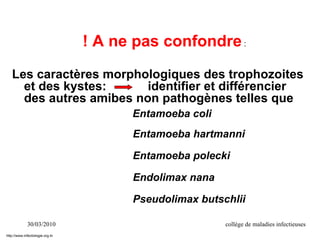 30/03/2010 collège de maladies infectieuses
Les caractères morphologiques des trophozoites
et des kystes: identifier et différencier
des autres amibes non pathogènes telles que
Entamoeba coli
Entamoeba hartmanni
Entamoeba polecki
Endolimax nana
Pseudolimax butschlii
! A ne pas confondre:
http://www.infectiologie.org.tn
 