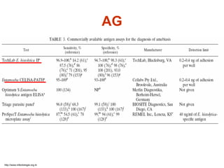 AG
http://www.infectiologie.org.tn
 
