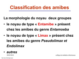 Classification des amibes
La morphologie du noyau deux groupes
• le noyau de type « Entamibe » présent
chez les amibes du genre Entamoeba
• le noyau de type « Limax » présent chez
les amibes du genre Pseudolimax et
Endolimax
• autres
30/03/2010 collège de maladies infectieuses
http://www.infectiologie.org.tn
 