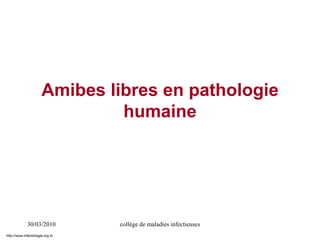 30/03/2010 collège de maladies infectieuses
Amibes libres en pathologie
humaine
http://www.infectiologie.org.tn
 