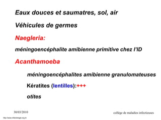 30/03/2010 collège de maladies infectieuses
Eaux douces et saumatres, sol, air
Véhicules de germes
Naegleria:
méningoencéphalite amibienne primitive chez l’ID
Acanthamoeba
méningoencéphalites amibienne granulomateuses
Kératites (lentilles):+++
otites
http://www.infectiologie.org.tn
 