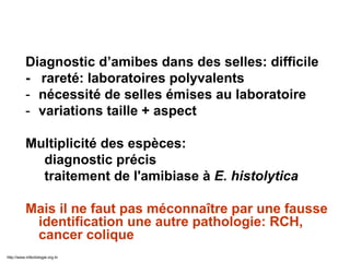 Diagnostic d’amibes dans des selles: difficile
- rareté: laboratoires polyvalents
- nécessité de selles émises au laboratoire
- variations taille + aspect
Multiplicité des espèces:
diagnostic précis
traitement de l'amibiase à E. histolytica
Mais il ne faut pas méconnaître par une fausse
identification une autre pathologie: RCH,
cancer colique
http://www.infectiologie.org.tn
 
