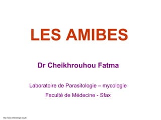 LES AMIBES
Dr Cheikhrouhou Fatma
Laboratoire de Parasitologie – mycologie
Faculté de Médecine - Sfax
http://www.infectiologie.org.tn
 