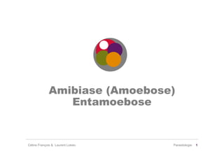Amibiase (Amoebose)
                Entamoebose


Céline François & Laurent Lokiec   Parasitologie   1
 