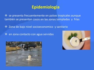 Epidemiologia
 se presenta frecuentemente en países tropicales aunque
también se presentan casos en las zonas templadas y frías
 Zona de bajo nivel socioeconomico y sanitario
 en zona contacto con agua servidas
 