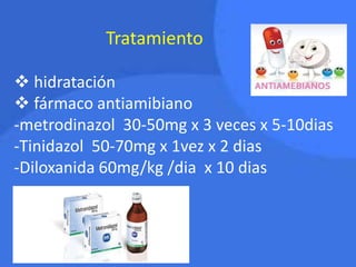 Droga Dosis diaria
Adultos Niños
Ritmo de
administració
n diaria
Amebiasis
Aguda:
Metronidazol 2250 mg 30-50
mg
3 veces x 5-10
días
Tinidazol 2000 mg 50-75
mg
1 vez x 2 días
Emetina
Clorhidrato
40 mg 1 mg 1-2 inyecciones
x 5 días
Amebiasis
Crónica:
Metronidazol 2250 mg 30-50
mg
3 veces x 10
días
Tinidazol 2000 mg 50-75
mg
1 vez x 2 días
Alternativos:
Diyodohidroxiq
uinoleina
1800 mg 30-40
mg
3 veces x 20
días
Fenantrolinquin
ona
300 mg 5 mg 3 veces x 10
días
Paromomicina 1500 mg 25-30
mg
3 veces x 5-7
días
Tratamiento
 hidratación
 fármaco antiamibiano
-metrodinazol 30-50mg x 3 veces x 5-10dias
-Tinidazol 50-70mg x 1vez x 2 dias
-Diloxanida 60mg/kg /dia x 10 dias
 